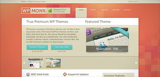 WordPress博客設(shè)計(jì)新浪潮 2024年創(chuàng)意趨勢(shì)與開發(fā)實(shí)踐